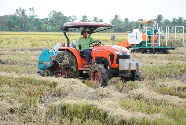 ĐBSCL hiện nay trung bình có 25 triệu tấn rơm thải ra từ sản xuất lúa hằng năm. Nhưng 70% trong số này lại bị đốt hoặc vùi vào đồng ruộng. Nếu được tận dụng chất nấm, làm phân hữu cơ…sẽ gia tăng giá trị và người dân có thêm nguồn thu nhập ổn định