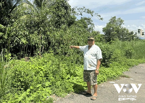 Ông Nguyễn Văn Bi chỉ tay về phần đất trong khu quy hoạch treo, cỏ cao hơn người, không thể xây cất mua bán duy trì sinh tế dù chỉ là nhà tạm