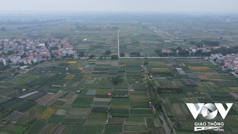 Hiện nay, huyện Mê Linh có 1.294 ha đất sản xuất hoa trong đó diện tích canh tác hoa hồng ở đây chiếm khoảng diện khoảng 1.152 ha (chiếm 93,4%).